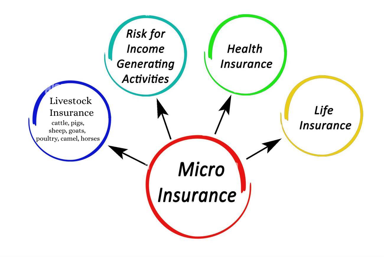 Micro Insurance
